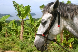 Monteverde: Ridning på hästryggen