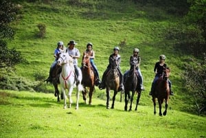 Monteverde: tour a cavallo