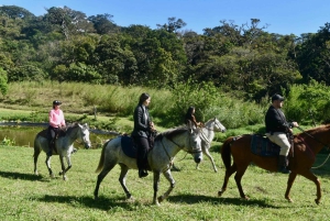Monteverde: Passeio a cavalo