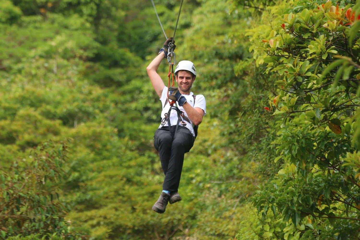 Monteverde: Jade Pack Selvatura Park Zipline & Sloth Tour
