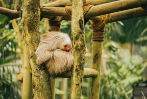 Monteverde: Jade Pack Selvatura Park Zipline & Sloth Tour