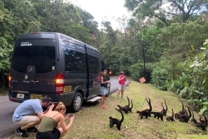 Monteverde: Travessia do Lago até La Fortuna de Arenal
