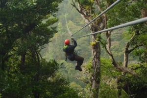 Monteverde: Monteverde Cloud Forest Canopy Adventure