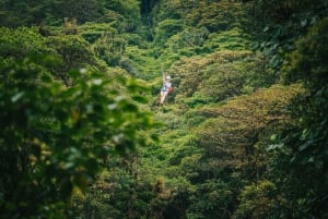 Monteverde: Monteverde Cloud Forest Canopy Adventure