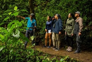 Monteverde: Monteverde Cloud Forest Canopy Adventure