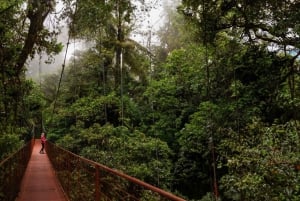 Monteverde: Monteverde Cloud Forest Canopy Adventure