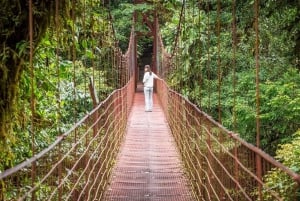 Monteverde: Monteverde Cloud Forest Canopy Adventure