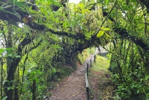 Monteverde: Monteverde Cloud Forest Canopy Adventure