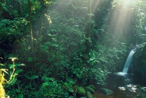 Monteverde: Monteverde Cloud Forest Canopy Adventure