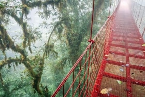 Monteverde: Monteverde Cloud Forest Canopy Adventure