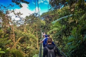 Monteverde: Monteverde Nebelwald Canopy Abenteuer