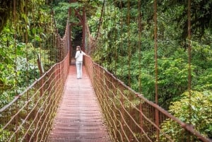 Monteverde: Monteverde Nebelwald Canopy Abenteuer