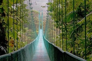 Monteverde: Monteverde Nebelwald Canopy Abenteuer