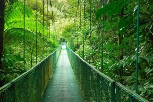 Monteverde: Monteverde Nebelwald Canopy Abenteuer