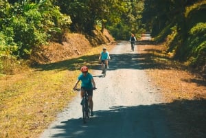 Monteverde: Mountain Bike Rugged Trail Lake cross to Arenal