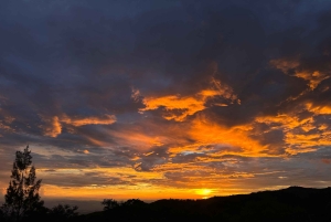Monteverde: tour notturno con occhiali per la visione notturna
