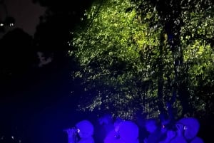 Monteverde: tour notturno con occhiali per la visione notturna