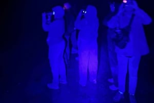 Monteverde: tour notturno con occhiali per la visione notturna