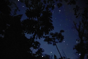 Monteverde: tour notturno con occhiali per la visione notturna