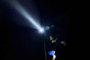 Monteverde: tour notturno con occhiali per la visione notturna