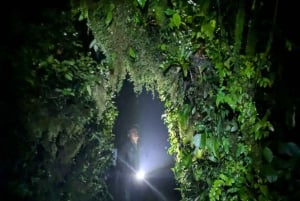 Monteverde: Night Walk in the Magical Forest