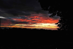 Monteverde: Nocna wędrówka po Oktari Monteverde