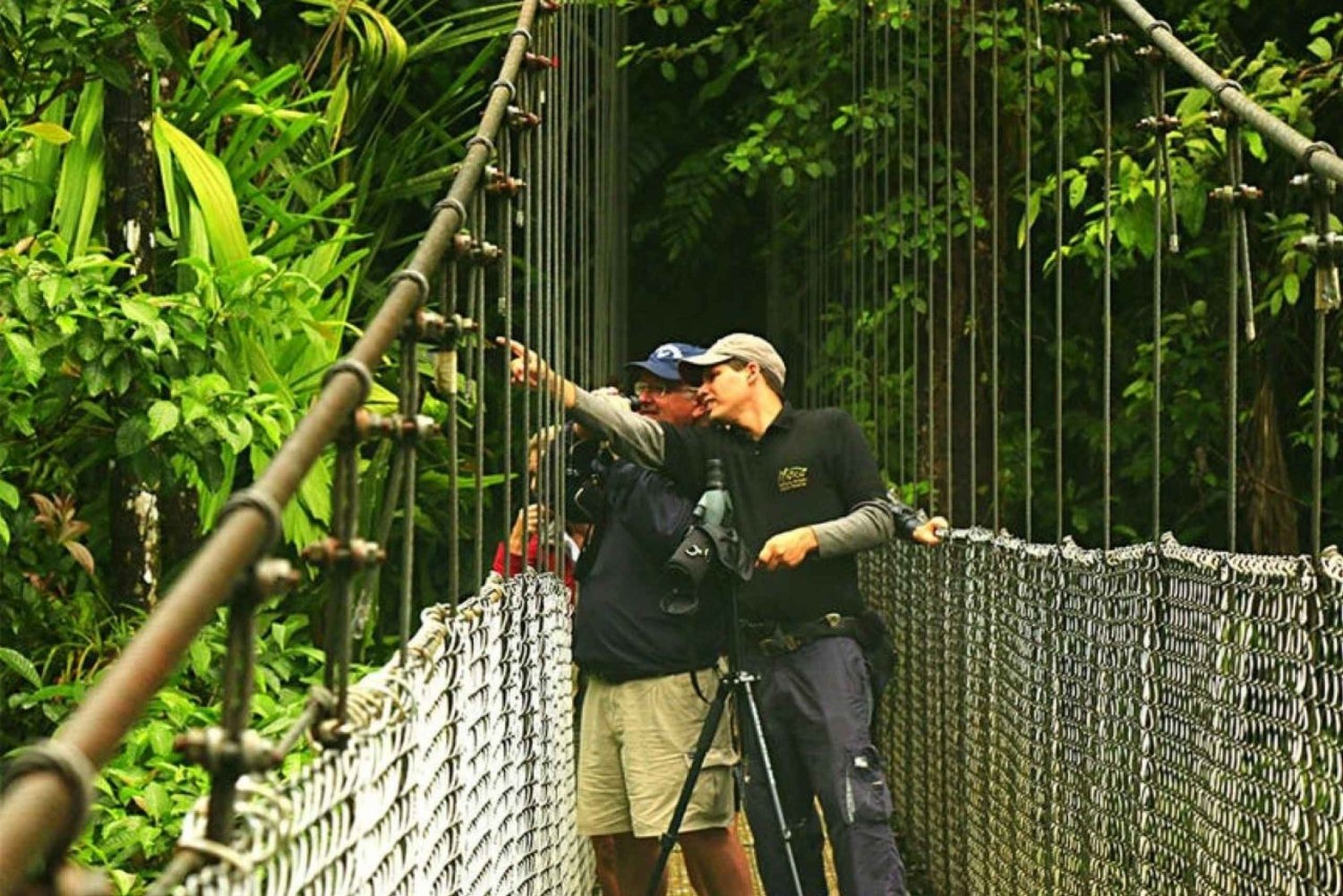 Monteverde or Santa Elena: Suspension Bridges Private Tour