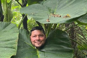 Monteverde: Private Cloud Forest Tour with Guide & Photos