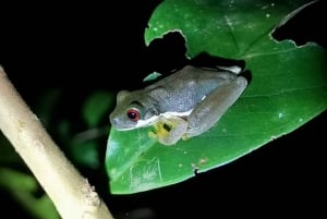 Monteverde: Private Cloud Forest Tour with Guide & Photos
