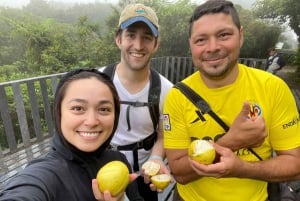 Monteverde: Private Cloud Forest Tour with Guide & Photos