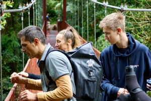 Monteverden uudistuva pilvimetsäkävely