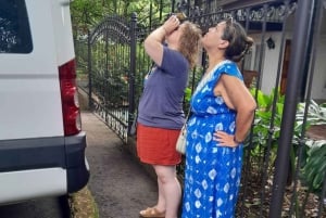 Monteverde: Transfer till Santa Teresa med naturskön färjetur