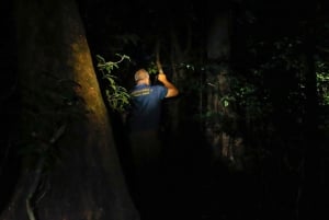 Monteverde : Promenade nocturne à Santamarias avec observation de la faune