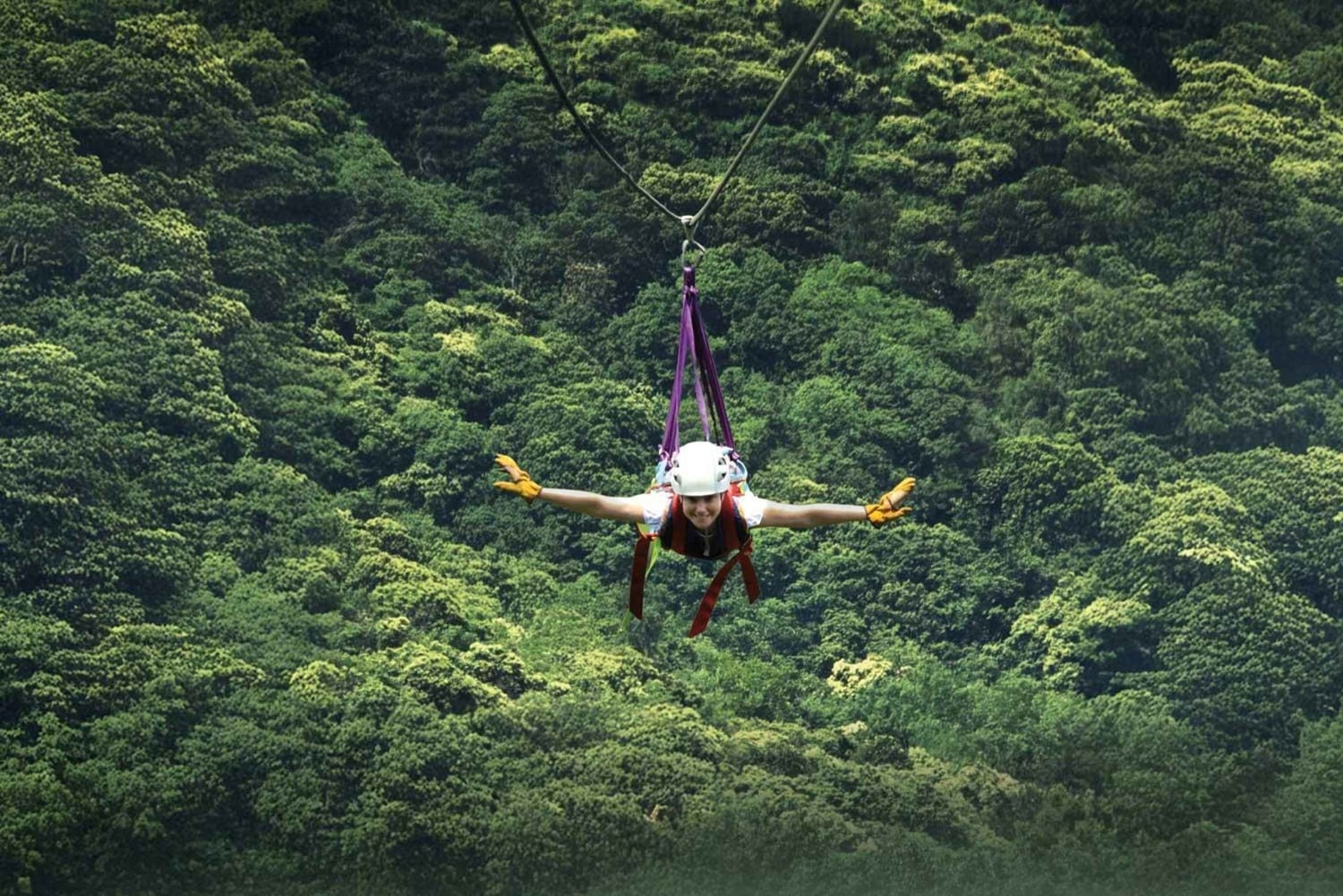 Monteverde: tur med zipline og Tarzan-svinge i Selvatura Park