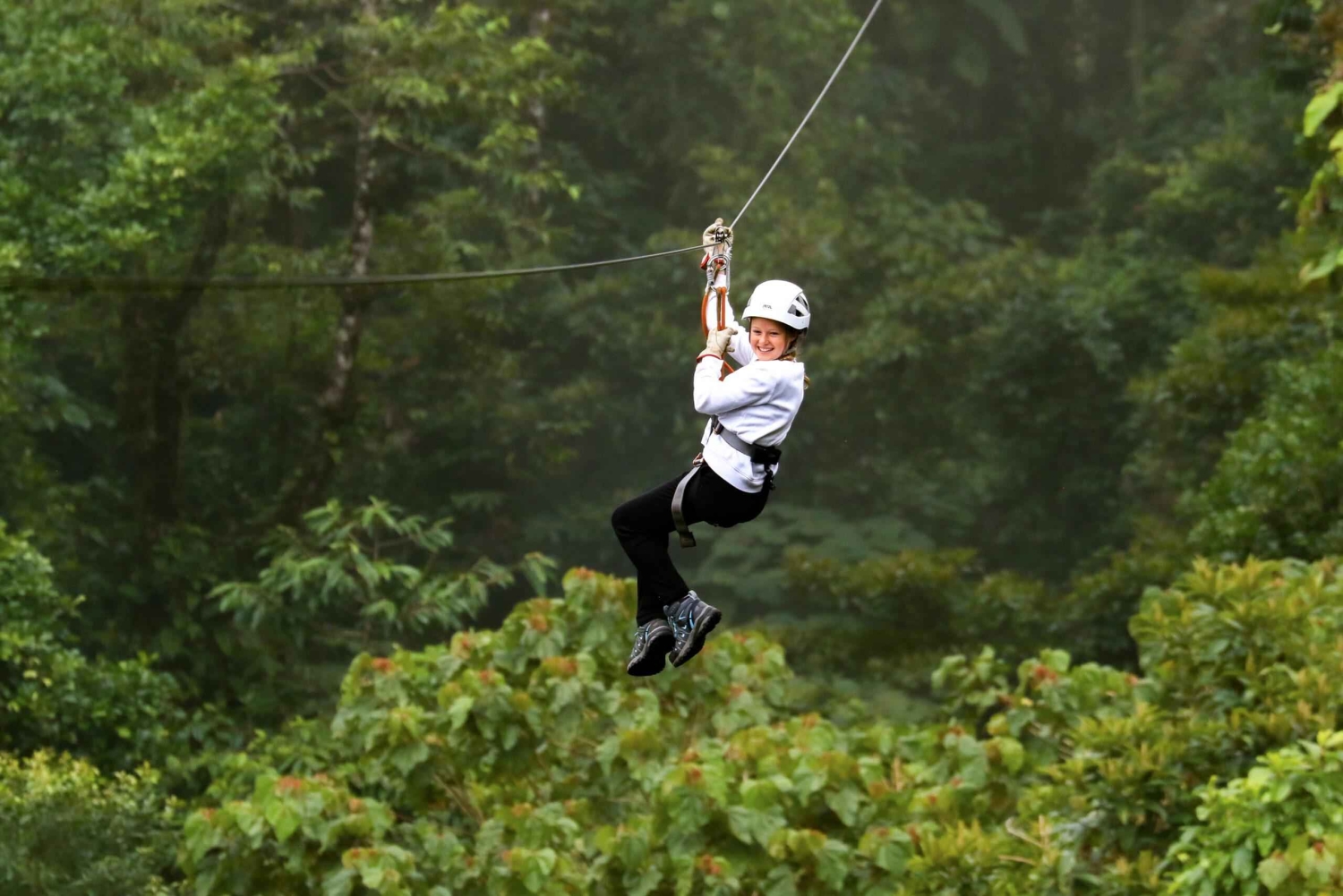 Monteverde: tur med zipline og Tarzan-svinge i Selvatura Park
