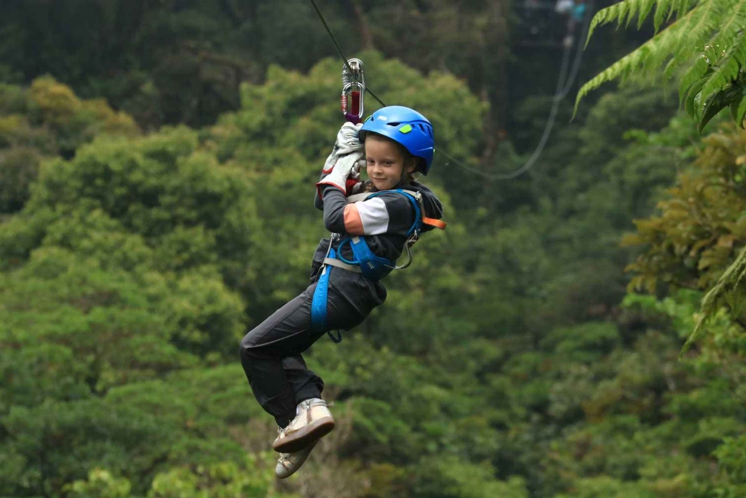 Monteverde: tur med zipline og Tarzan-svinge i Selvatura Park