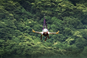 Monteverde: tur med zipline og Tarzan-svinge i Selvatura Park