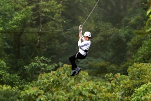Monteverde: tur med zipline og Tarzan-svinge i Selvatura Park