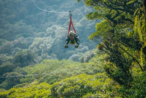 Monteverde: tur med zipline og Tarzan-svinge i Selvatura Park