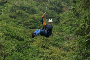 Monteverde: tur med zipline og Tarzan-svinge i Selvatura Park