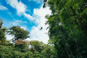 Monteverde: tur med zipline og Tarzan-svinge i Selvatura Park