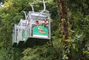 Monteverde: Sky Walk, Sky Tram og Sky Trek Ziplining Tour