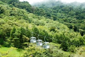 Monteverde: Sky Walk, Sky Tram og Sky Trek Ziplining Tour