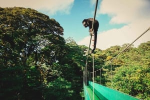 Monteverde: Sky Walk, Sky Tram y Sky Trek Ziplining Tour