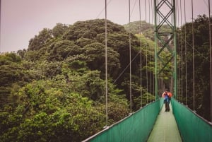 Monteverde: Sky Walk, Sky Tram i Sky Trek Ziplining Tour