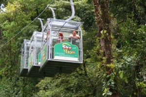 Monteverde: Sky Walk, Sky Tram & Sky Trek Ziplining Tour