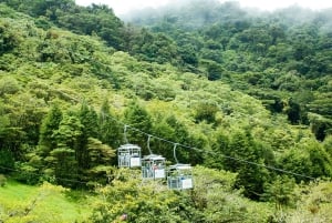 Monteverde: Sky Walk, Sky Tram & Sky Trek Ziplining Tour