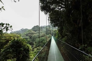 Monteverde: SkyWalk Hanging Bridges Adventure