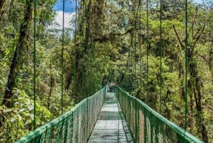 Monteverde: Puentes colgantes, perezosos y mariposas