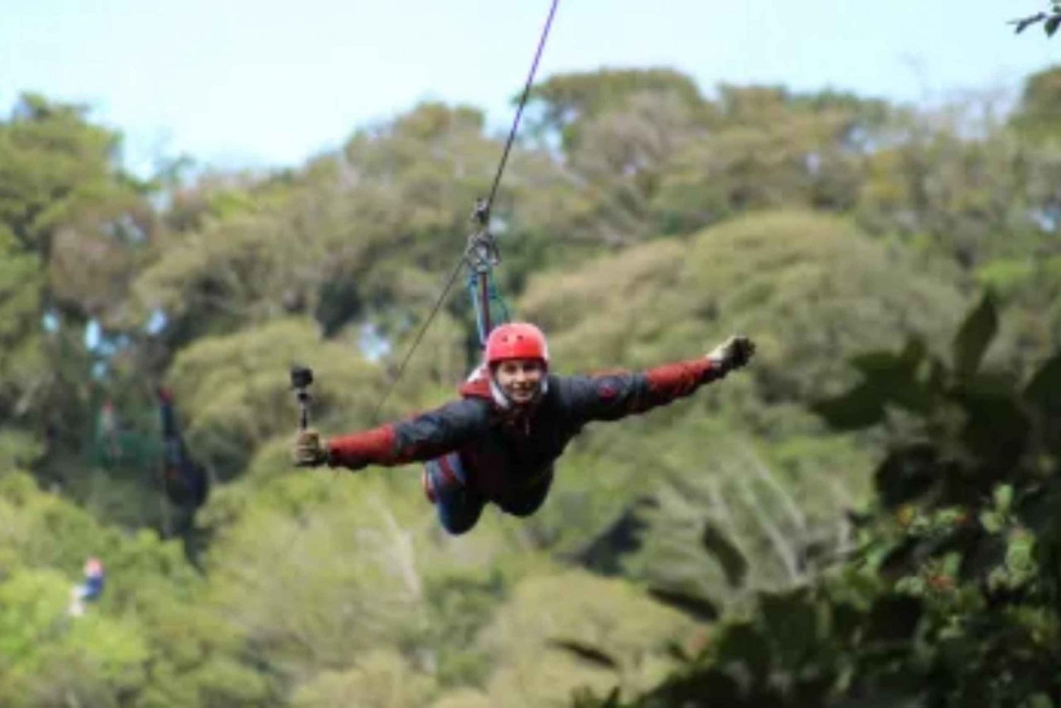 Monteverde: Thrilling Zip Line Canopy Tour